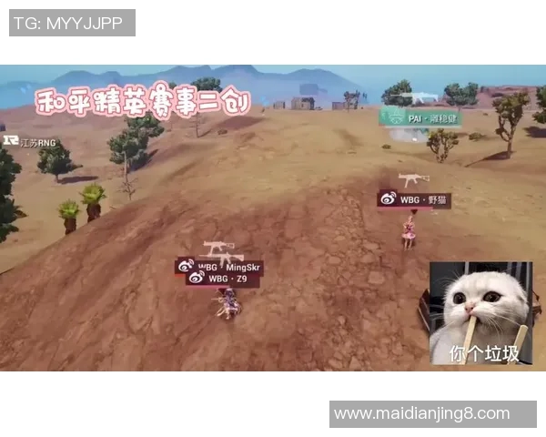 和平精英赛场上RNG逆袭之路的真实记录与精彩瞬间回顾